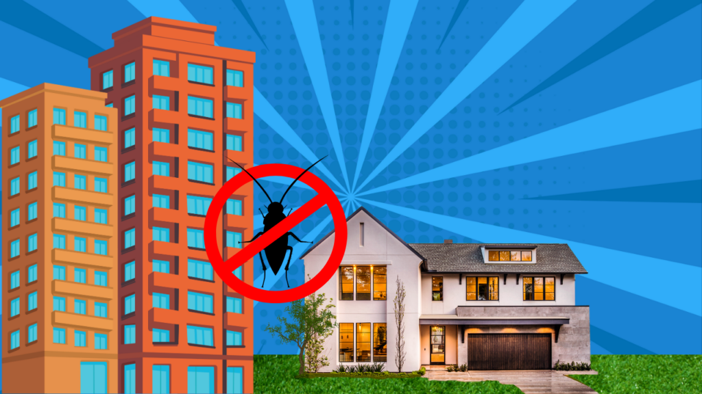 Barata Francesinha nunca mais