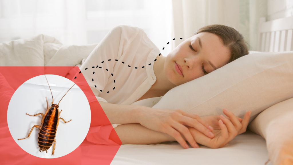 francesinha entra no ouvido